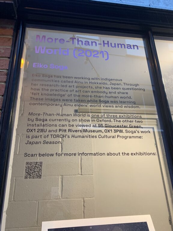 More-Than-Human World window text